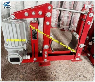 YWZ4 Series ELECTRO HYDRAULIC THRUSTOR BRAKES With ED Electro Hydraulic Thruster