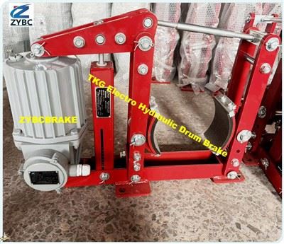 YWZ4 YWZ8 Series Of Electro-Hydraulic Drum Brake ZYBC Brand